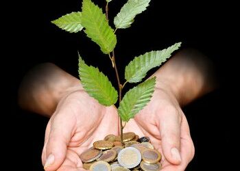 6012679 - hand with tree growing from pile of coins